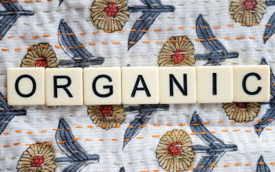 Innovations vertes transforment durablement l’agriculture biologique et son avenir économique