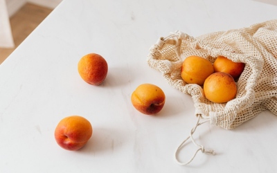 Bio en france entre innovations marché responsable et consommation durable