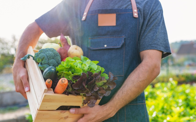 L’essor innovant et durable de l’agriculture biologique en france moderne