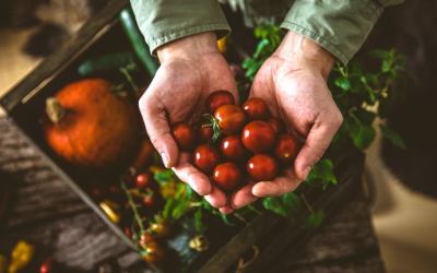 Bio en france : innovations et défis pour la révolution verte